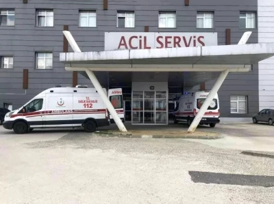 Arı saldırısına uğrayan yaşlı &ccedil;ift hastanelik oldu

