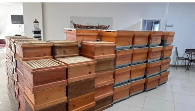Arıcılık kursiyerlerine kovan desteği

