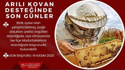 ’Arılı kovan’ desteği için son gün

