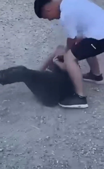 Arnavutköy’de gençlerin acımasızca kavgası kamerada
