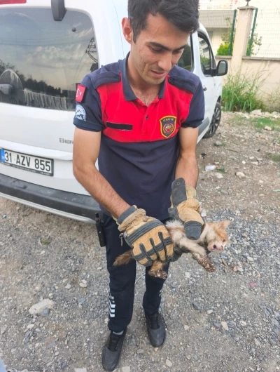 Arsuz’da aracın kaputuna giren kediyi itfaiye kurtardı
