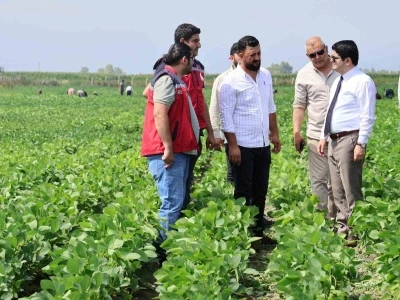 Arsuz&rsquo;da soya ekimi yapıldı
