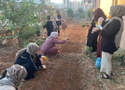 Artuklu’da Kadın Emeğiyle Kış Sebzeleri Toprakla Buluştu