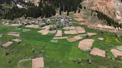 Artvin&rsquo;de 1400 rakımda imece usul&uuml; doğal tarım
