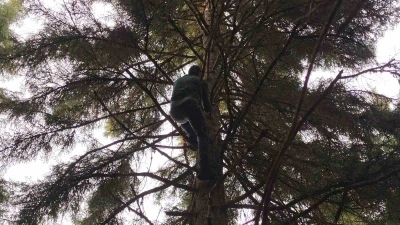 Artvin&rsquo;de 40 metrelik g&ouml;knar ağacının tepesine takılan dronu b&ouml;yle kurtardılar
