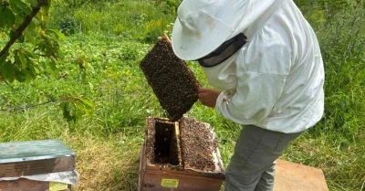 Artvin&rsquo;de bal hasat sezonu &ouml;ncesi &uuml;reticilerle buluşma
