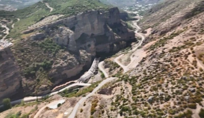 Artvin’de dron kamerasına akbaba takıldı
