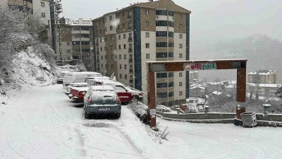 Artvin&rsquo;de kar etkili oluyor
