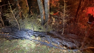 Artvin’de zirai alanda yangın kısa sürede söndürüldü
