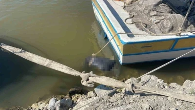 Asi Nehri&rsquo;nde erkek cesedi bulundu
