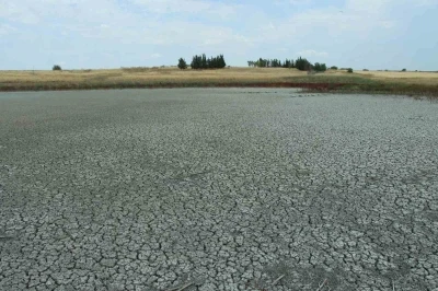Aşırı sıcaklarda suları çekilen göletlerde balıklar yaşam mücadelesi veriyor
