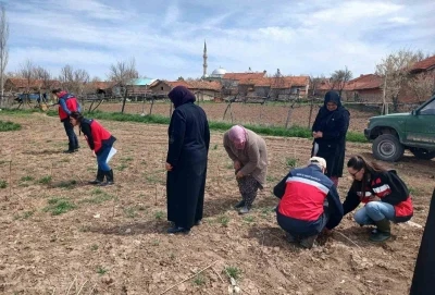 Aslanapa&rsquo;da &ccedil;ift&ccedil;ilere y&ouml;nelik eğitim ve saha &ccedil;alışmaları ger&ccedil;ekleştirildi
