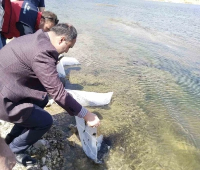 Aslanapa Kureyşler G&ouml;leti&rsquo;ne 140 bin sazan yavrusu bırakıldı
