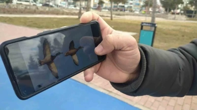 Astsubaylıktan kuş fotoğraf&ccedil;ılığına, Beyşehir G&ouml;l&uuml;nde bir doğa sevdalısı
