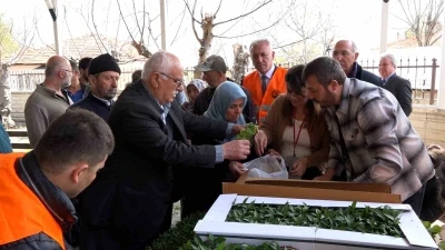 Atakumlu &ccedil;ift&ccedil;iye 100 bin sebze fidesi
