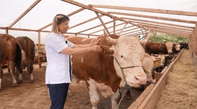 Ataşehir Belediyesi&rsquo;nden vatandaşlara kurbanlık se&ccedil;iminde &ouml;nemli uyarılar
