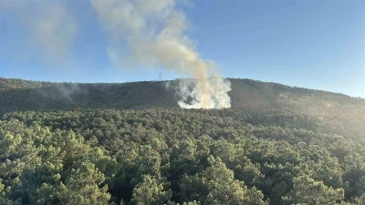 Ataşehir’de orman yangını, büyümeden söndürüldü
