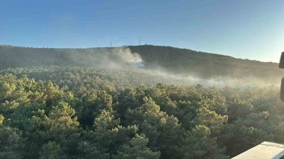 Ataşehir Kayışdağı ormanında yangın
