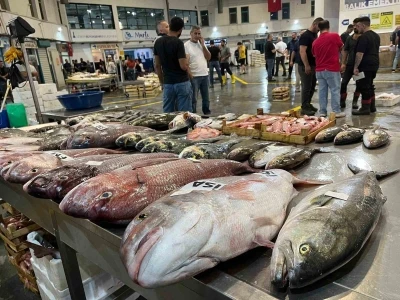 Av sezonu başladı, İzmir Balık Hali bereketle doldu
