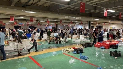 Av yasağının bitmesiyle İstanbul’da balıkçılık sezonu resmen başladı
