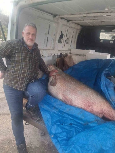 Av yasağının bittiği g&uuml;n 130 kiloluk turna balığı yakaladı, nasıl doğrayacağını d&uuml;ş&uuml;nmeye başladı

