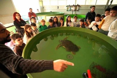 Avrupa&rsquo;dan MTK Koleji&rsquo;ne &Ccedil;evre Eğitimi &ouml;d&uuml;l&uuml;
