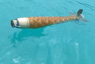 Ayancık a&ccedil;ıklarında ş&uuml;pheli cisim bulundu
