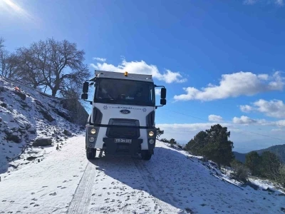 Aydın B&uuml;y&uuml;kşehir Belediyesi&rsquo;nden Paşa Yaylası&rsquo;nda tuzlama &ccedil;alışması
