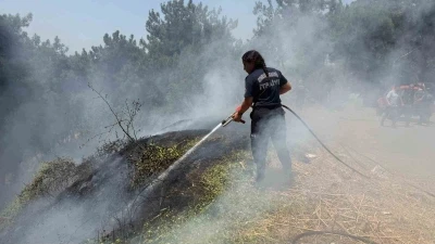 Aydın B&uuml;y&uuml;kşehir İtfaiyesi 8 g&uuml;nde 445 yangına m&uuml;dahale etti

