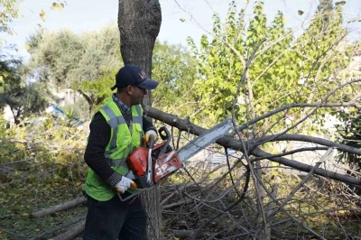 Aydın Büyükşehir Kemer Mahallesi’nde budama ve temizlik çalışması gerçekleştirdi
