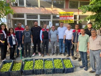 Aydın&rsquo;da ilek pazarı denetimleri aralıksız s&uuml;r&uuml;yor
