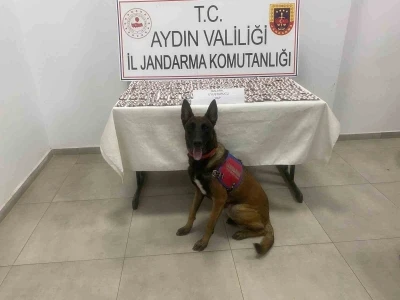 Aydın’da jandarmadan uyuşturucu operasyonu: 3 gözaltı
