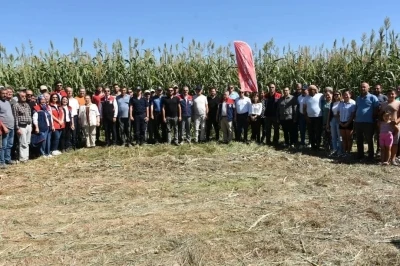 Aydın’da kaba yem açığını kapatacak proje meyvelerini veriyor
