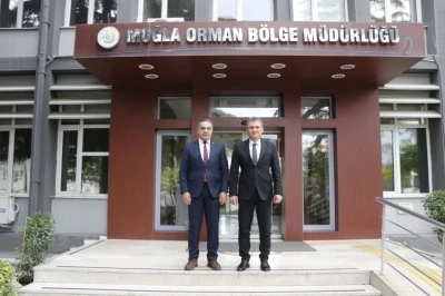 Aydın&rsquo;da kestane ağa&ccedil;ları biyolojik m&uuml;cadele ile korunuyor
