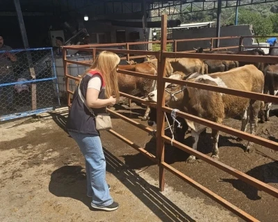 Aydın&rsquo;da Kurban Bayramı denetimleri aralıksız s&uuml;r&uuml;yor
