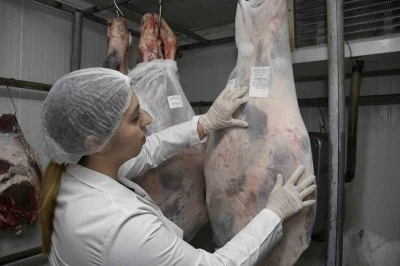 Aydın&rsquo;da kurban kesim fiyatları a&ccedil;ıklandı
