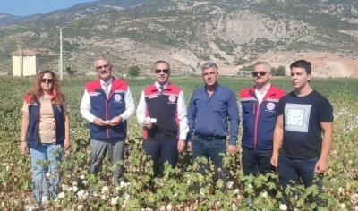 Aydın’da pamuk tarlalarına inceleme
