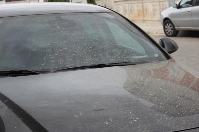 Aydın&rsquo;da toz taşınımı bekleniyor
