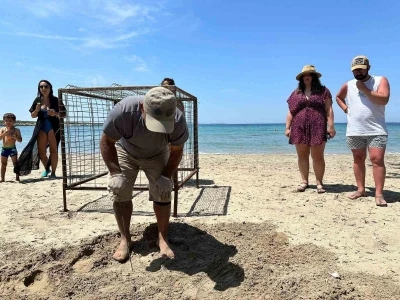 Aydın&rsquo;da yılın ilk Caretta Caretta yuvası tespit edildi
