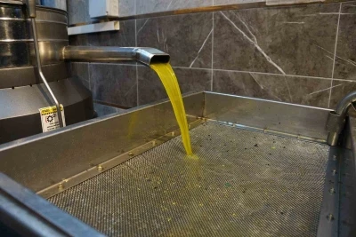 Aydın’da zeytinin yağa dönüşümü başladı

