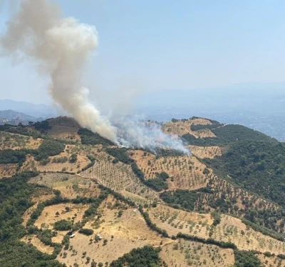 Aydın’da zirai alan yangını
