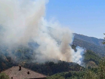 Aydın’da zirai alan yangını
