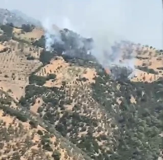 Aydın’da zirai alandaki yangını söndürme çalışmaları devam ediyor
