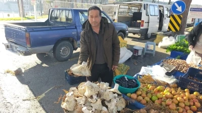 Aydın’daki dev mantarlar pazarda ilgi odağı oldu
