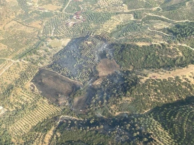 Aydın’daki yangın kontrol altına alındı

