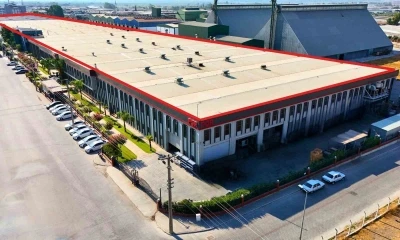 Aydın’dan bir dünya makası doğuyor
