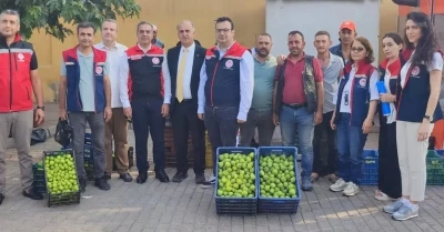 Aydın&rsquo;ın d&uuml;nya markası inciri i&ccedil;in sahada yoğun mesai
