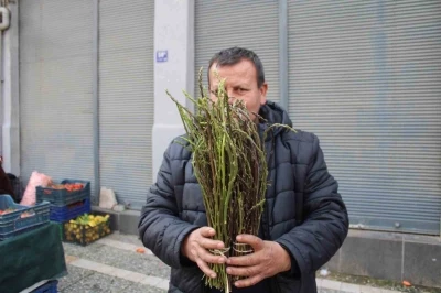 Aydın&rsquo;ın y&ouml;resel lezzeti kedirgen ve sarmaşıklar pazar tezgahlarını s&uuml;slemeye başladı

