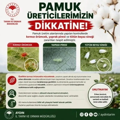 Aydınlı pamuk &uuml;reticilerine zararlı uyarısı

