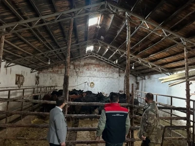 Aydıntepe’de hayvancılığa destek projesinde ilk hayvan teslimi yapıldı
